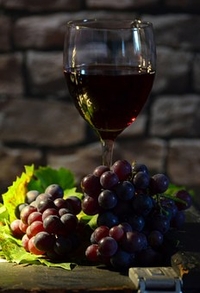 Информация за италиански вина в българия 5