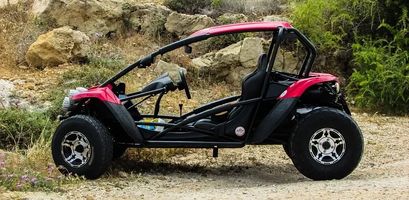 Off Road Buggy - 52202 customers