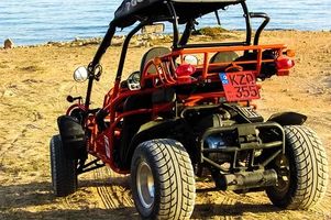 Off Road Buggy - 51562 awards