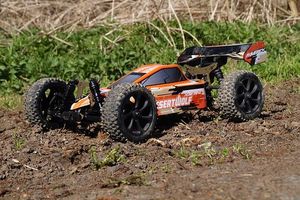 Off Road Buggy - 55923 types